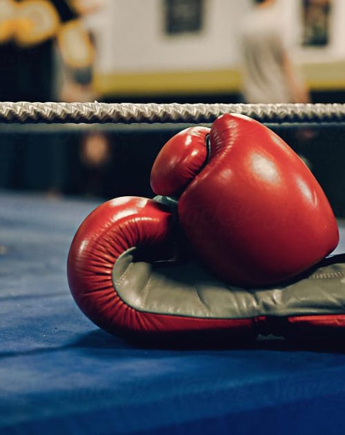 Boxing Gloves